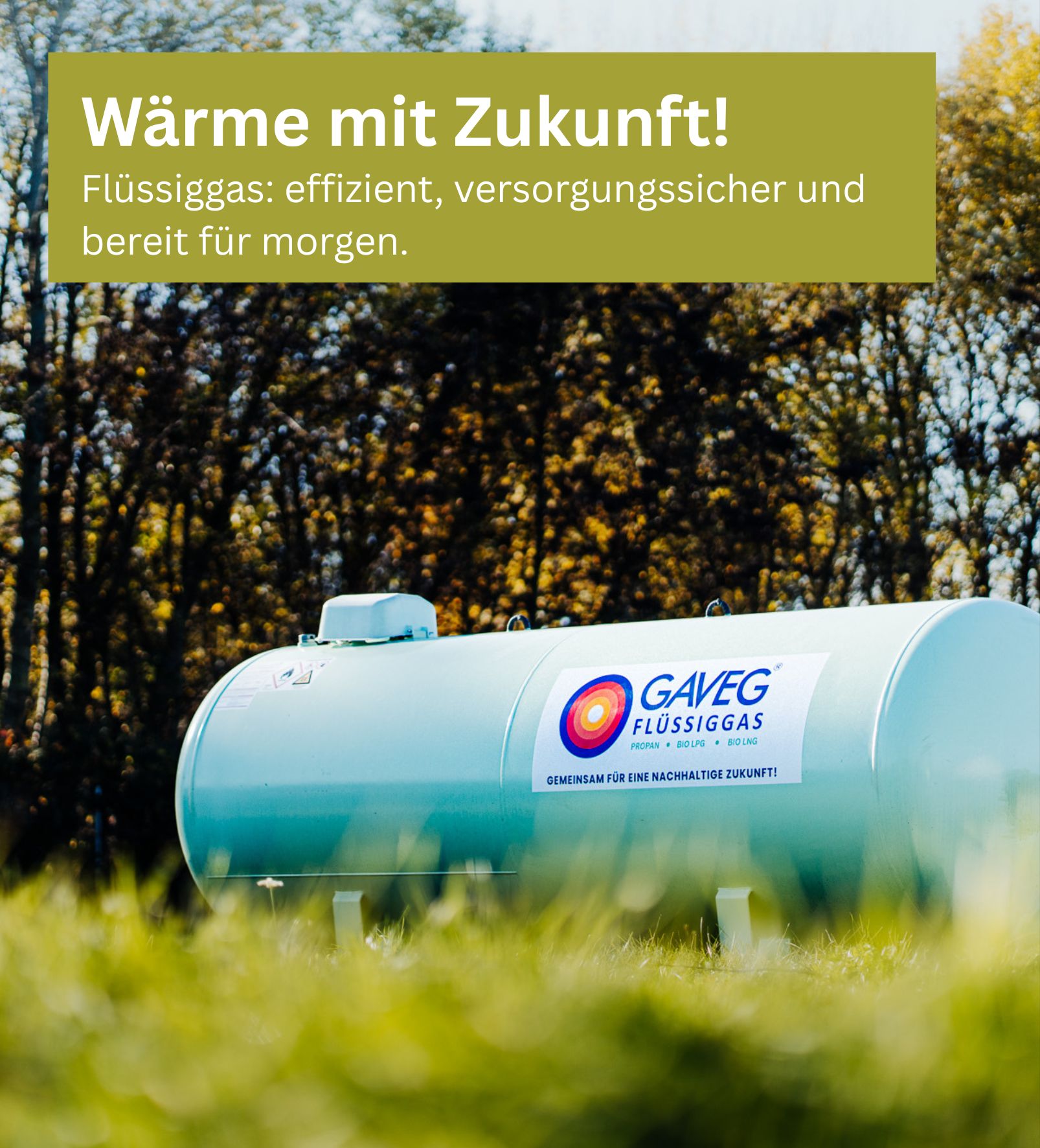 Gas bleibt Teil der Energiewende